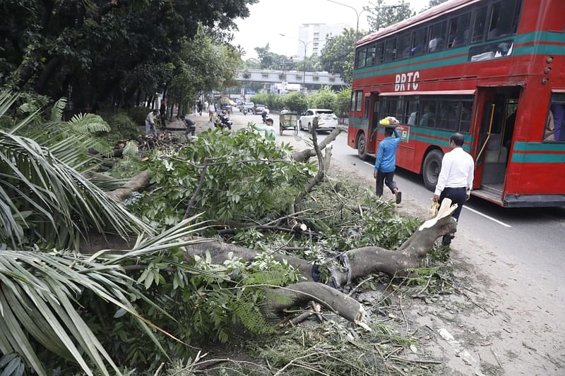 ছবি: আশরাফুল আলম 