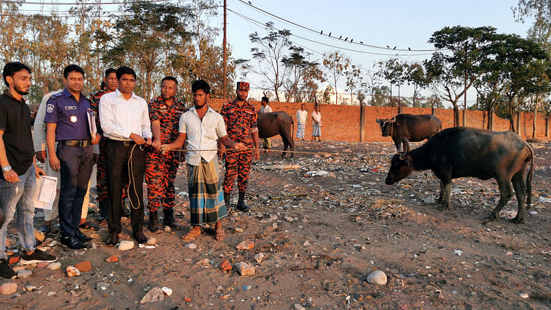 ছবি: প্রথম আলো