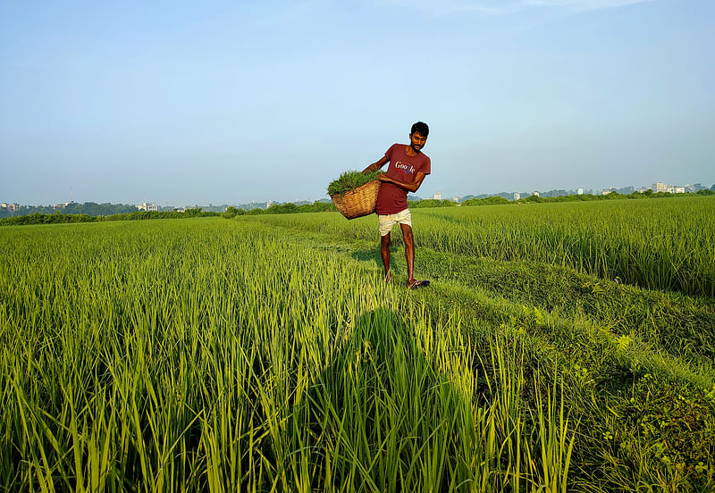 ছবি: আনোয়ার হোসেন 