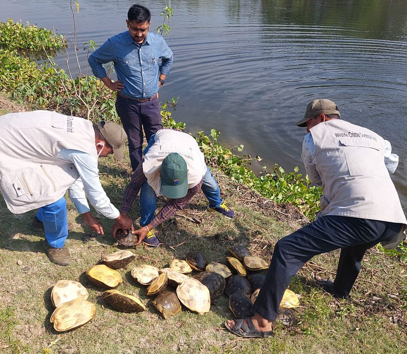 ছবি: প্রথম আলো