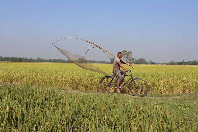 ছবি: মঈনুল ইসলাম