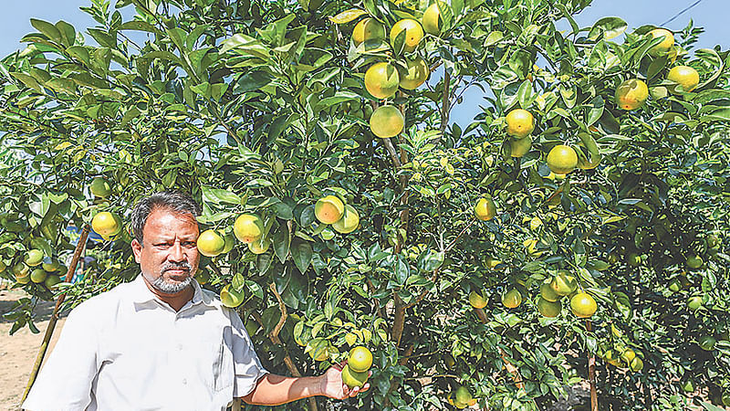  ছবি: প্রথম আলো