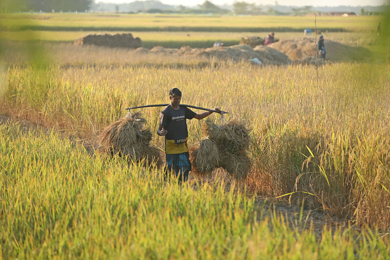 প্রথম আলো ফাইল ছবি