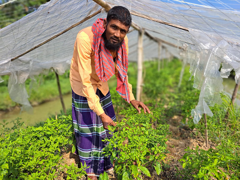 ছবি: প্রথম আলো 