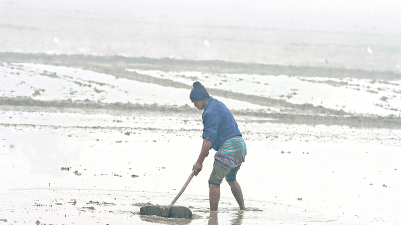 ছবি: প্রথম আলো