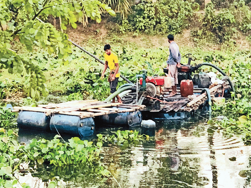 ছবি: প্রথম আলো 