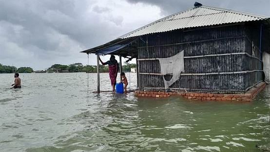 ফাইল ছবি: প্রথম আলো