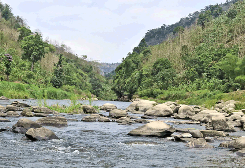 সংগৃহীত