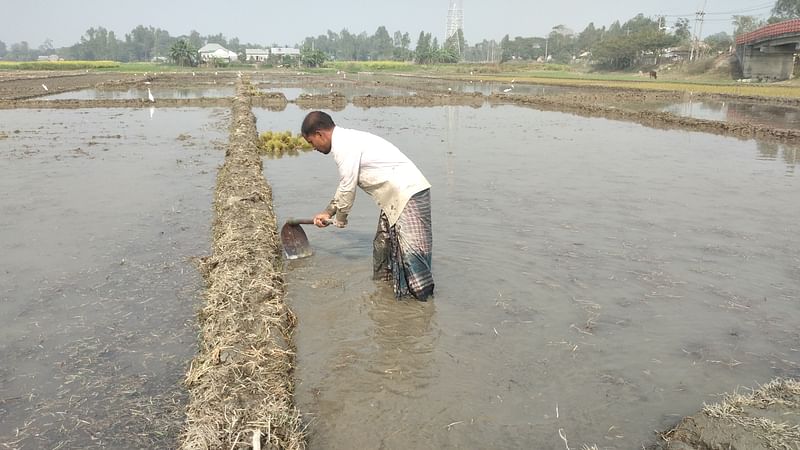 ছবি: প্রথম আলো