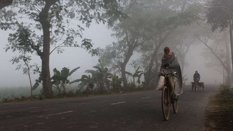 ফাইল ছবি: প্রথম আলো