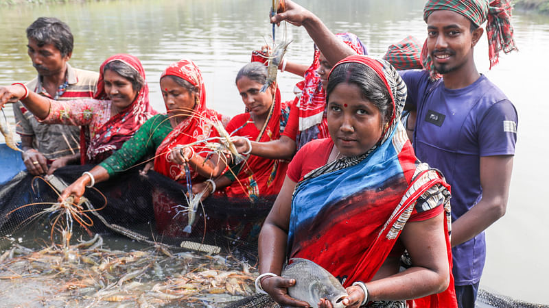 ছবি: সাদ্দাম হোসেন