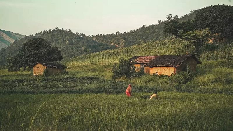 ছবি: টুইটার