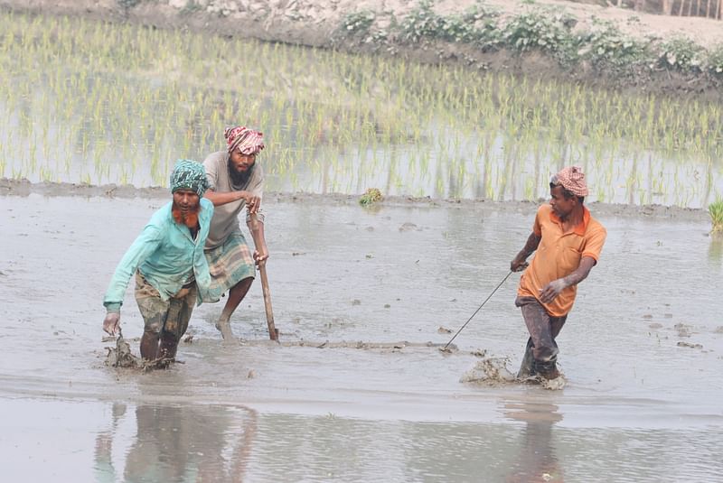 ছবি: মঈনুল ইসলাম