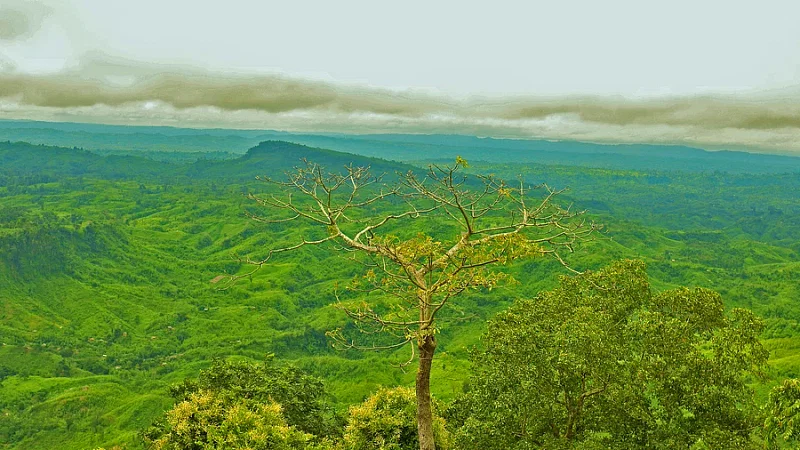 প্রতীকী ছবি 