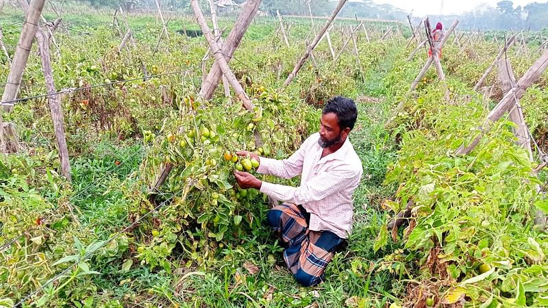 ছবি: প্রথম আলো