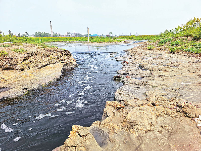 ছবি: প্রথম আলো