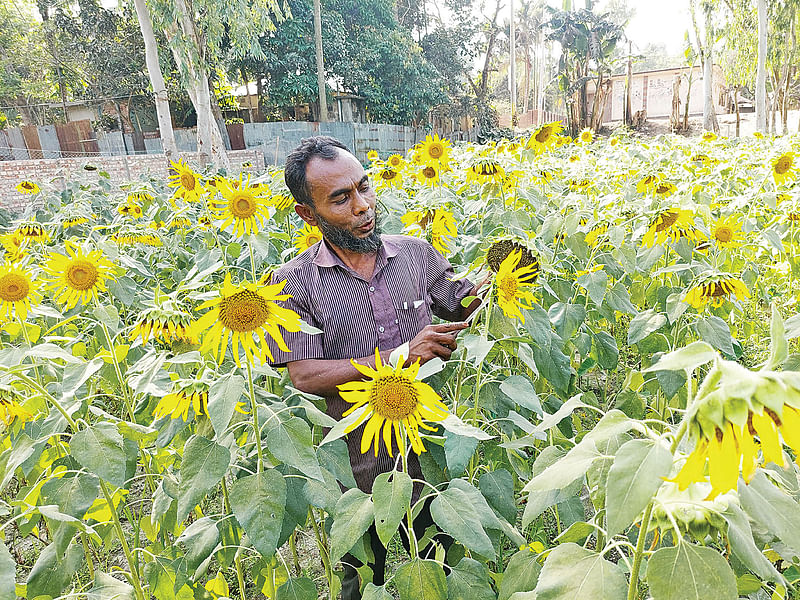 ছবি: প্রথম আলো 