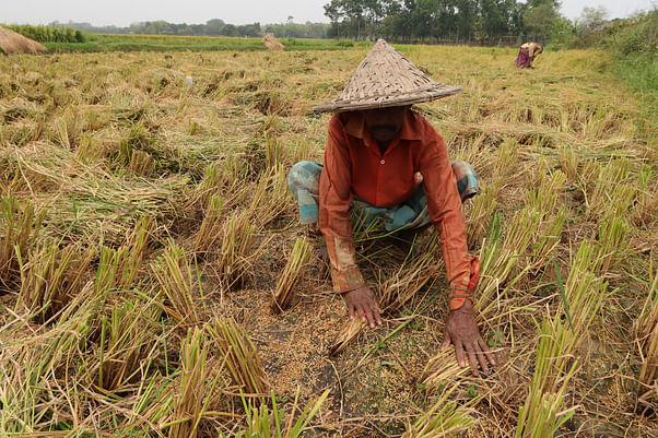 ছবি: প্রথম আলো 