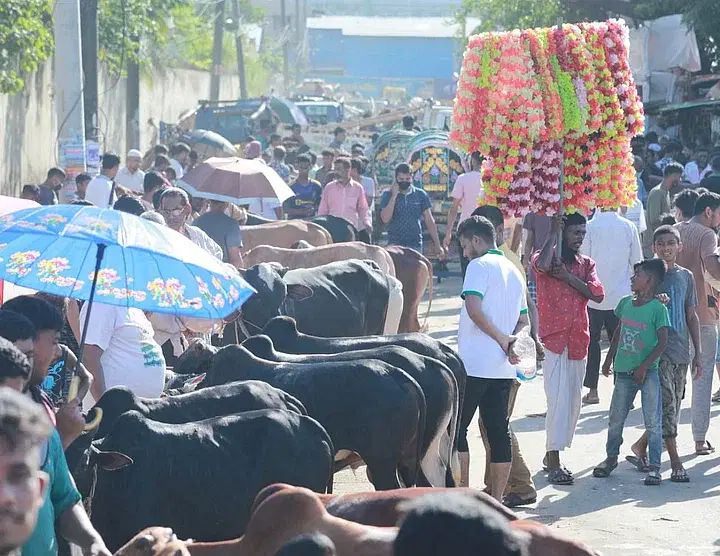 ফাইল ছবি: প্রথম আলো