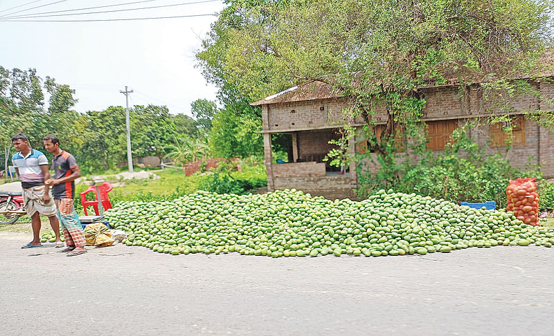 ছবি: প্রথম আলো 