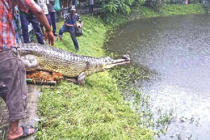 ছবি: লেখক