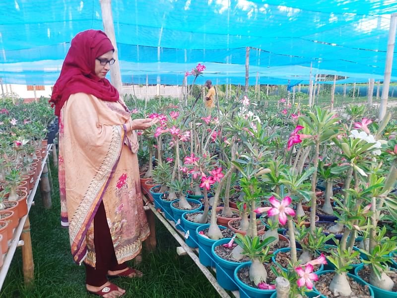 চারা কিনতে নার্সারিতেও আসেন অনেকে