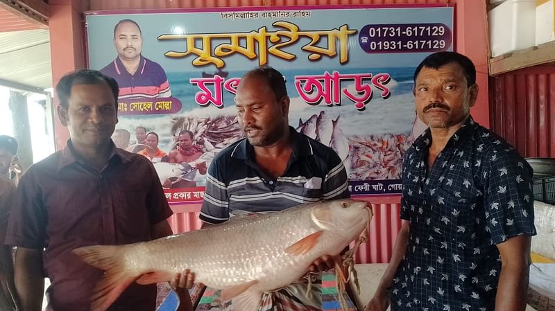 সাড়ে ৯ কেজি ওজনের রুই মাছটি বিক্রি হয়েছে ২১ হাজার টাকায়। শনিবার বিকেলে দৌলতদিয়া ফেরিঘাট বাজার এলাকায়