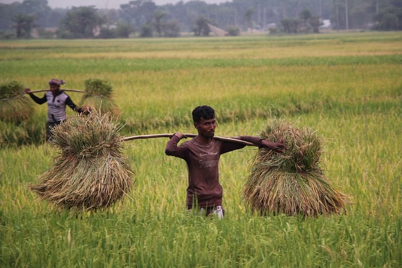 ছবি: প্রথম আলো 