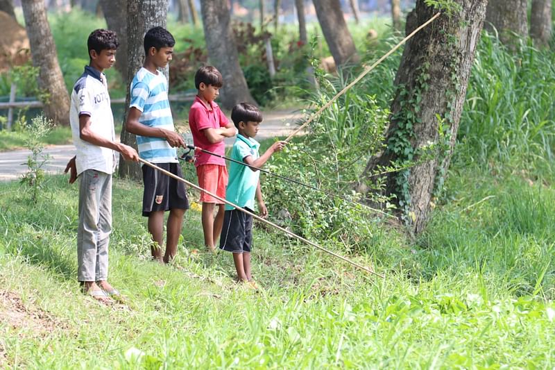 ছবি: আলীমুজ্জামান