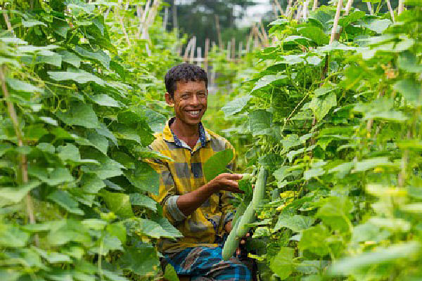 ছবি: প্রথম আলো