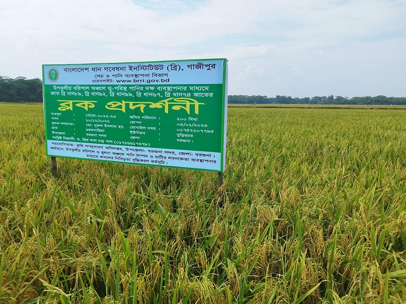 ছবি: কৃষি মন্ত্রণালয়ের সৌজন্যে