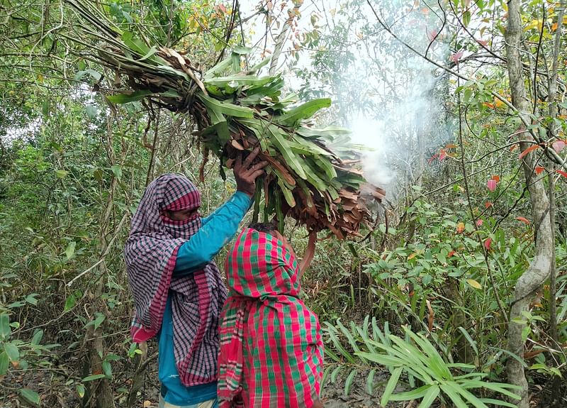 ছবি: ইমতিয়াজ উদ্দিন