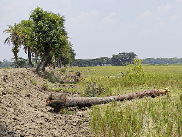 ছবি: প্রথম আলো