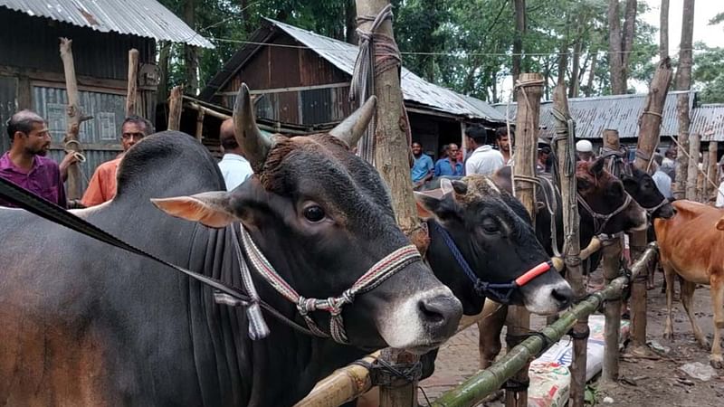 ছবি: প্রথম আলো