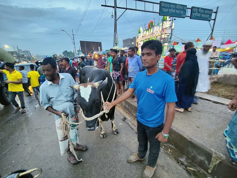 গরুটি নিয়ে ফিরে যাওয়ার উদ্দেশ্যে আমিনবাজার সেতুর কাছাকাছি জায়গায় দাঁড়িয়ে ছিলেন পাবনার চাটমোহর থানা থেকে আসা খামারি আবদুল লতিফ