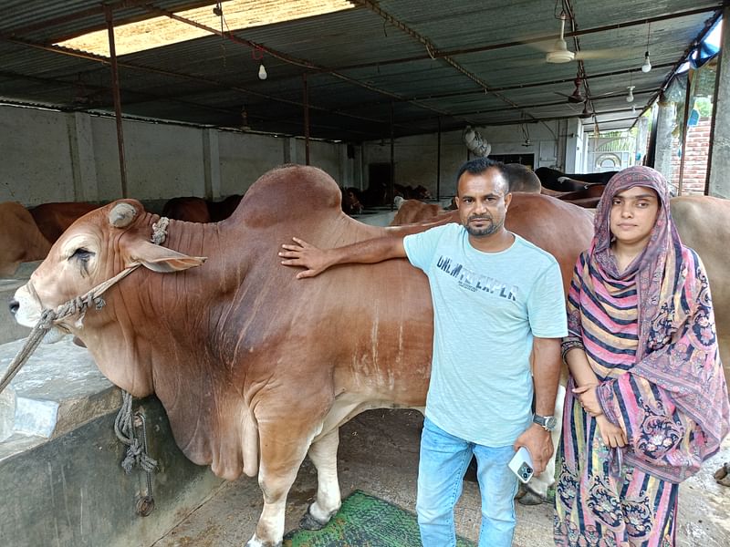 ছবি: ছুটির দিনে