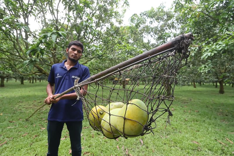 ছবি: মঈনুল ইসলাম