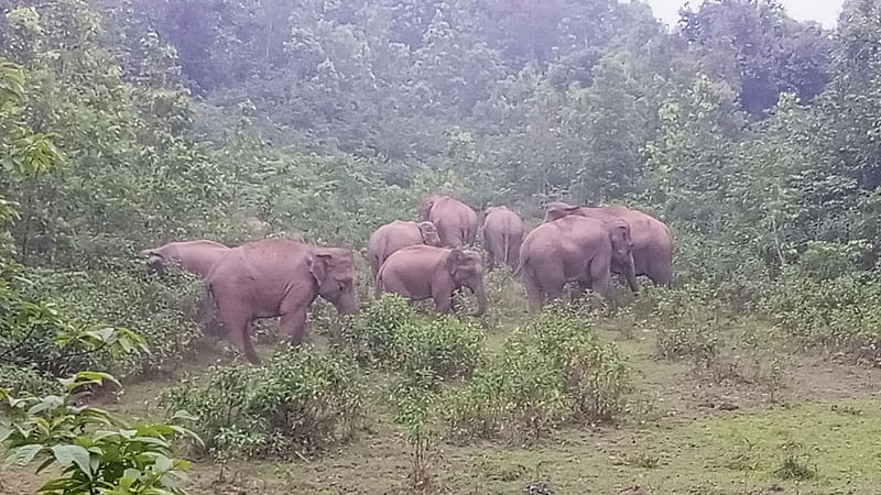 ছবি: প্রথম আলো