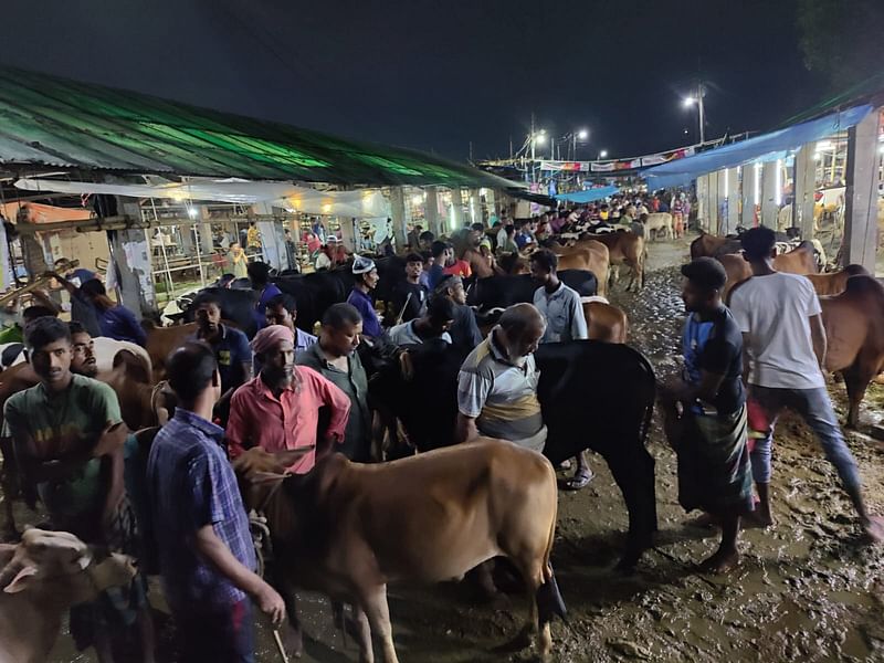 গাবতলীর হাটের হাসিলঘরের সামনে গরু নিয়ে ক্রেতার অপেক্ষায় দাঁড়িয়ে ছিলেন বিক্রেতারা