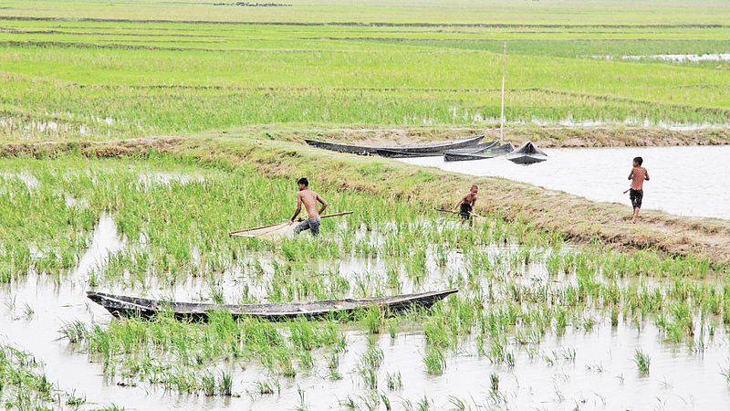 ছবি: তাফসিলুল আজিজ