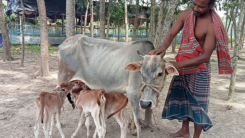 ছবি: প্রথম আলো