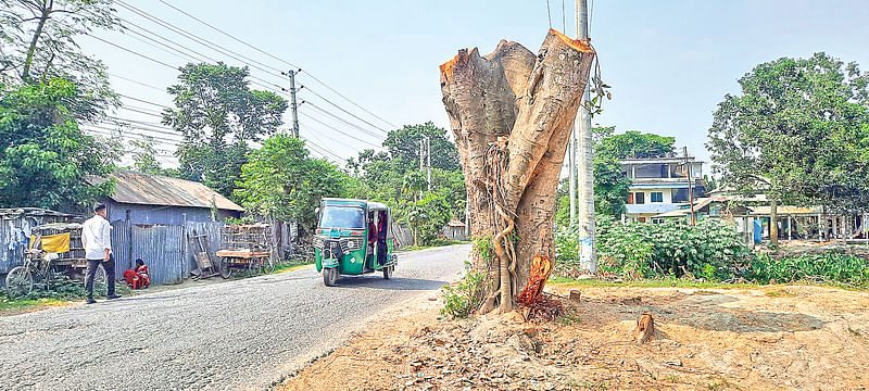 ছবি: প্রথম আলো