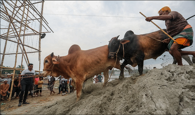 ছবি: প্রথম আলো