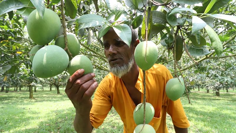 ছবি: প্রথম আলো