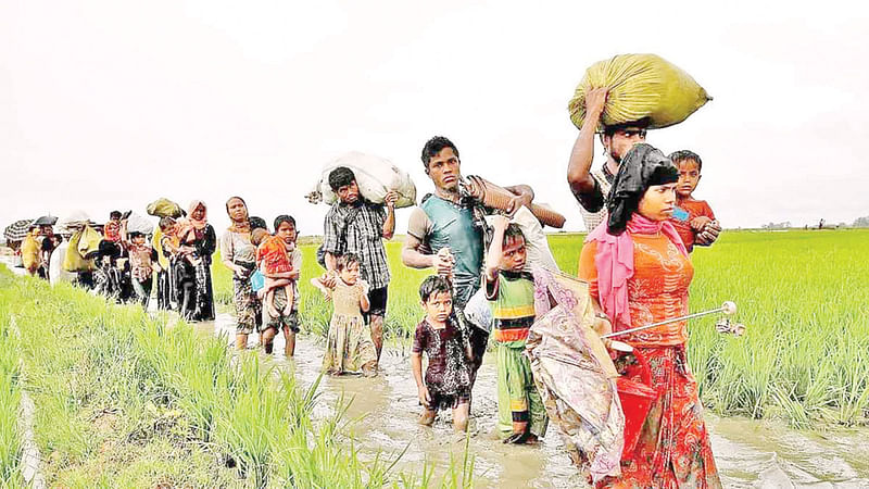 ফাইল ছবি