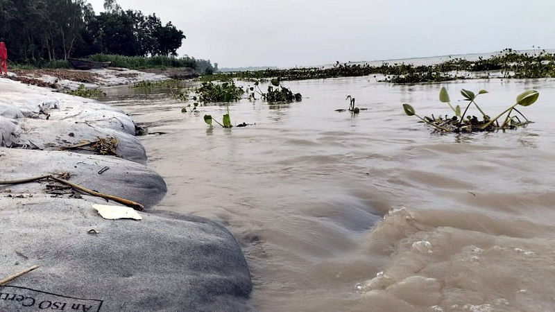 ছবি: প্রথম আলো