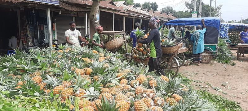 ছবি: প্রথম আলো