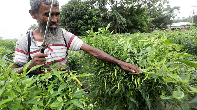 ছবি: প্রথম আলো