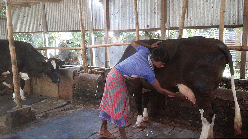 ফাইল ছবি: প্রথম আলো