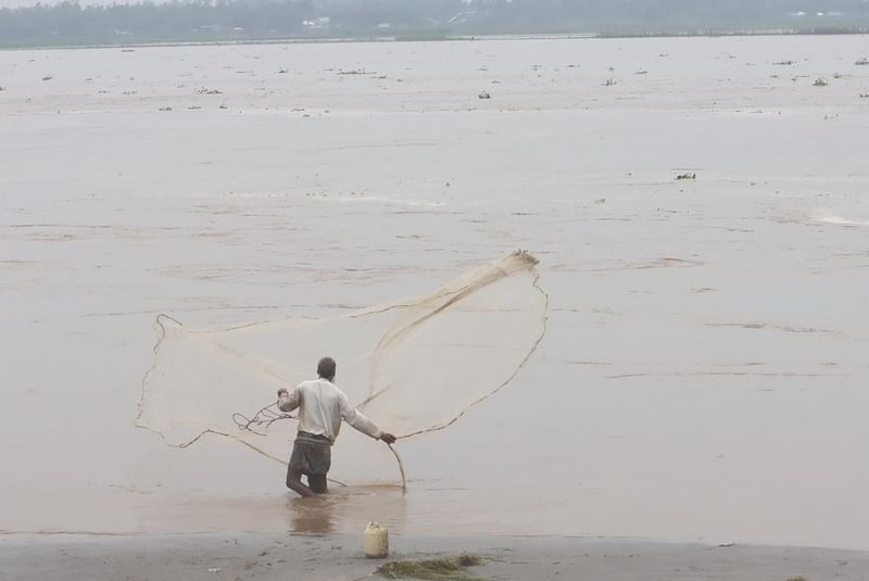 ফাইল ছবি: মঈনুল ইসলাম